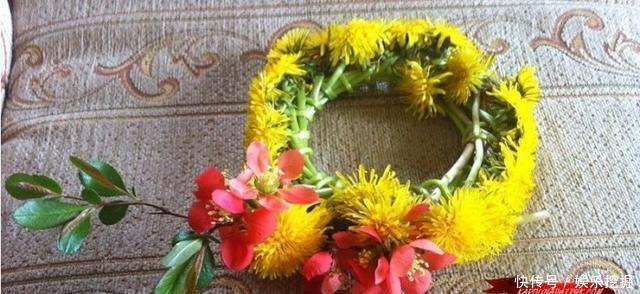 波兰是一个怎么样的国家?