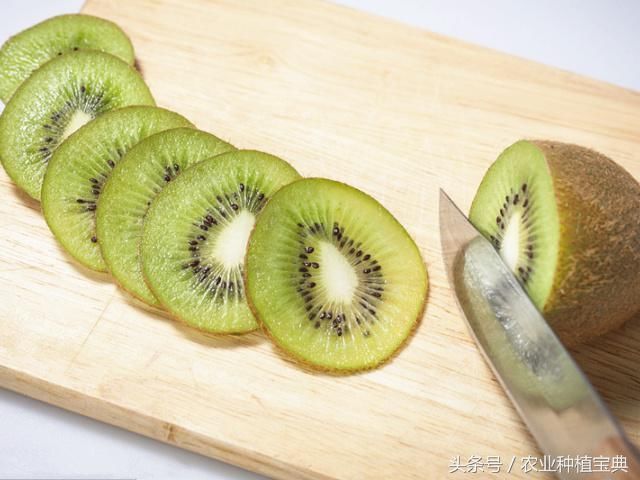 猕猴桃不能和什么一起吃?猕猴桃和什么一起榨