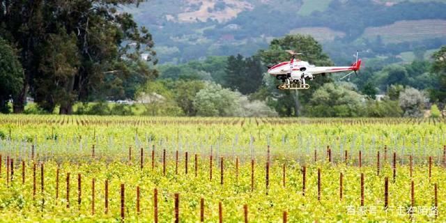 它是全世界最自由国家:工作时长最低,人均收入