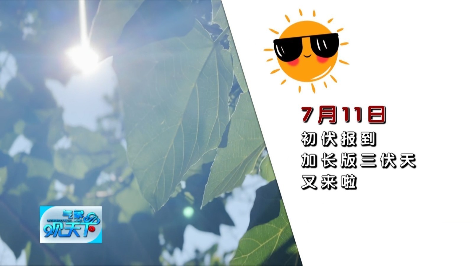 初伏报道！盛夏开启！