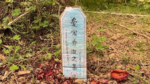 南宁一小区绿化带内出现宠物坟墓 业主:瘆得慌 南宁一小区绿化带内出现宠物坟墓 业主:瘆得慌