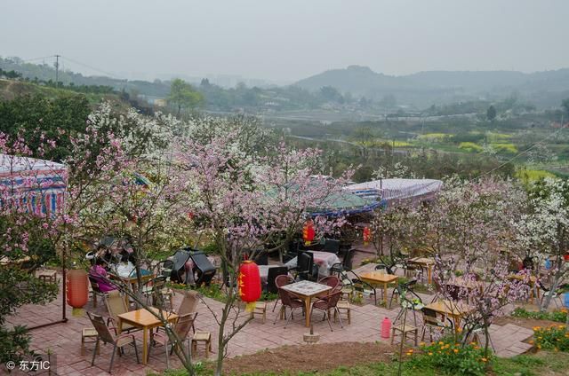 深化农村土地改革出新举措 涉及承包地、宅基