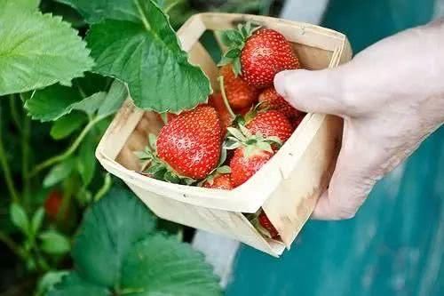 中国国旅浙江公司春季一日游线路精选