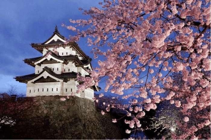 亚洲最发达的国家日本,农民年收入达700万日元