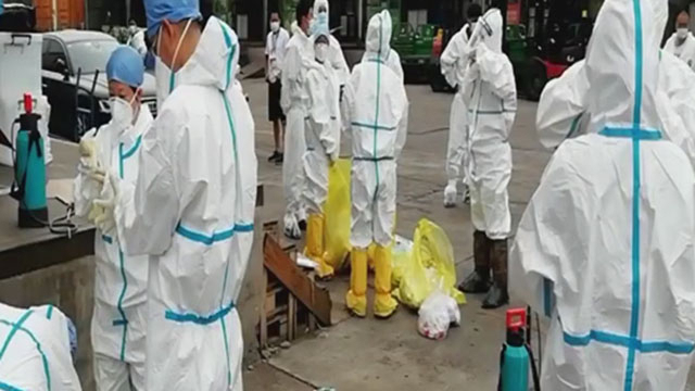 《众志成城 防控疫情》20200713锁定新发地的22小时 《众志成城 防控疫情》20200713锁定新发地的22小时