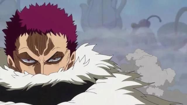 你就得说什么,你看赤犬在看到路飞新闻时候淡定的表情,你敢说他不知情