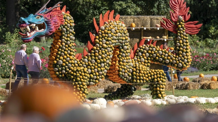 德国地方举办“南瓜节”巨龙造型栩栩如生