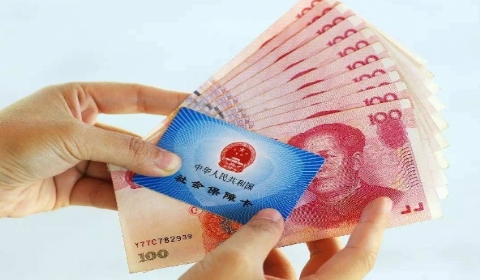 社保公司缴纳比例是多少?失业自己缴交一个月