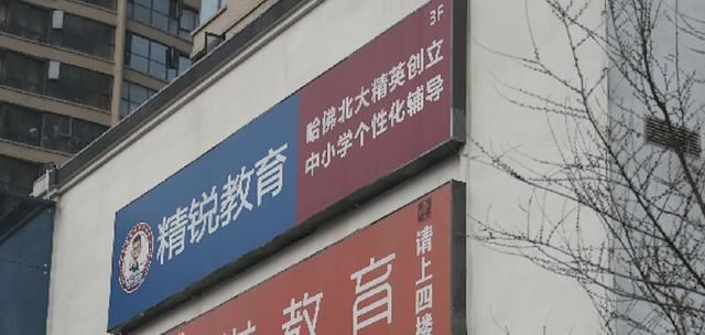 精锐教育海外上市首日就破发 一对一的精英模