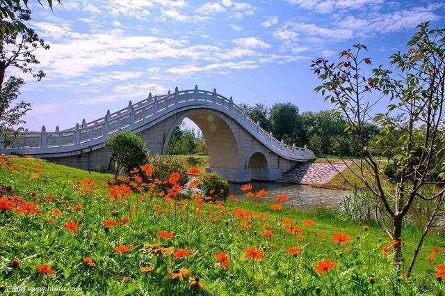 深圳面积最大的公园排名