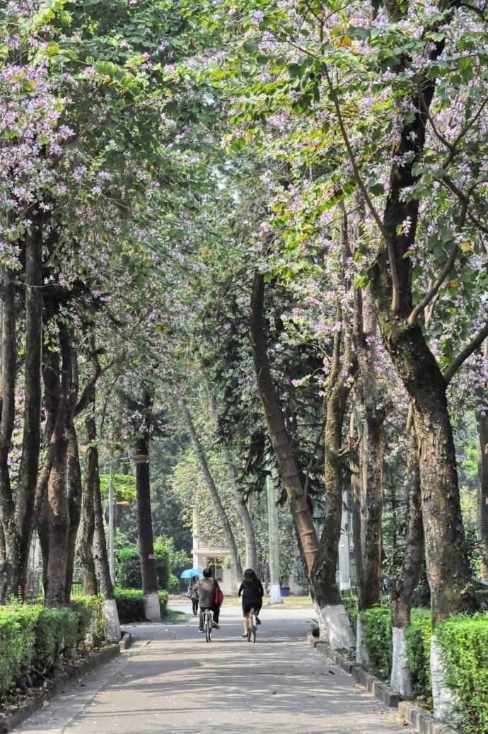 2018广东外语外贸大学日语口译考研心路历程