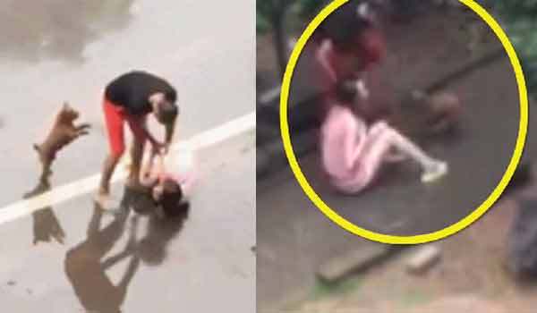 男子雨中殴打怀孕妻子 狗狗护主狂吠被踹开 男子雨中殴打怀孕妻子 狗狗护主狂吠被踹开