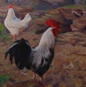 穷富有命,生死由天:69年的苦命鸡,现在50岁