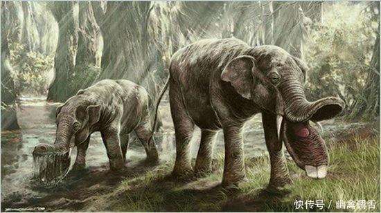 7大怪异动物祖先盘点 历经数千年的变化