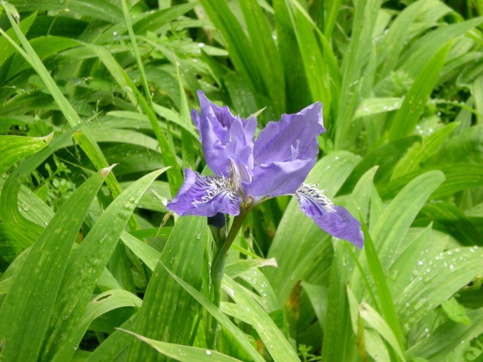 事业单位考试公基概念备考:资本的有机构成