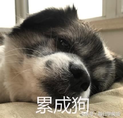 语音版:如何用英语优雅地说累成狗?