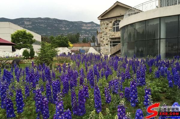 五一将近 太原好风光快乐小镇让你玩转花样假