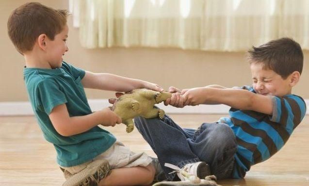 孩子喜欢抢玩具,这是所有孩子的天性,家长应该