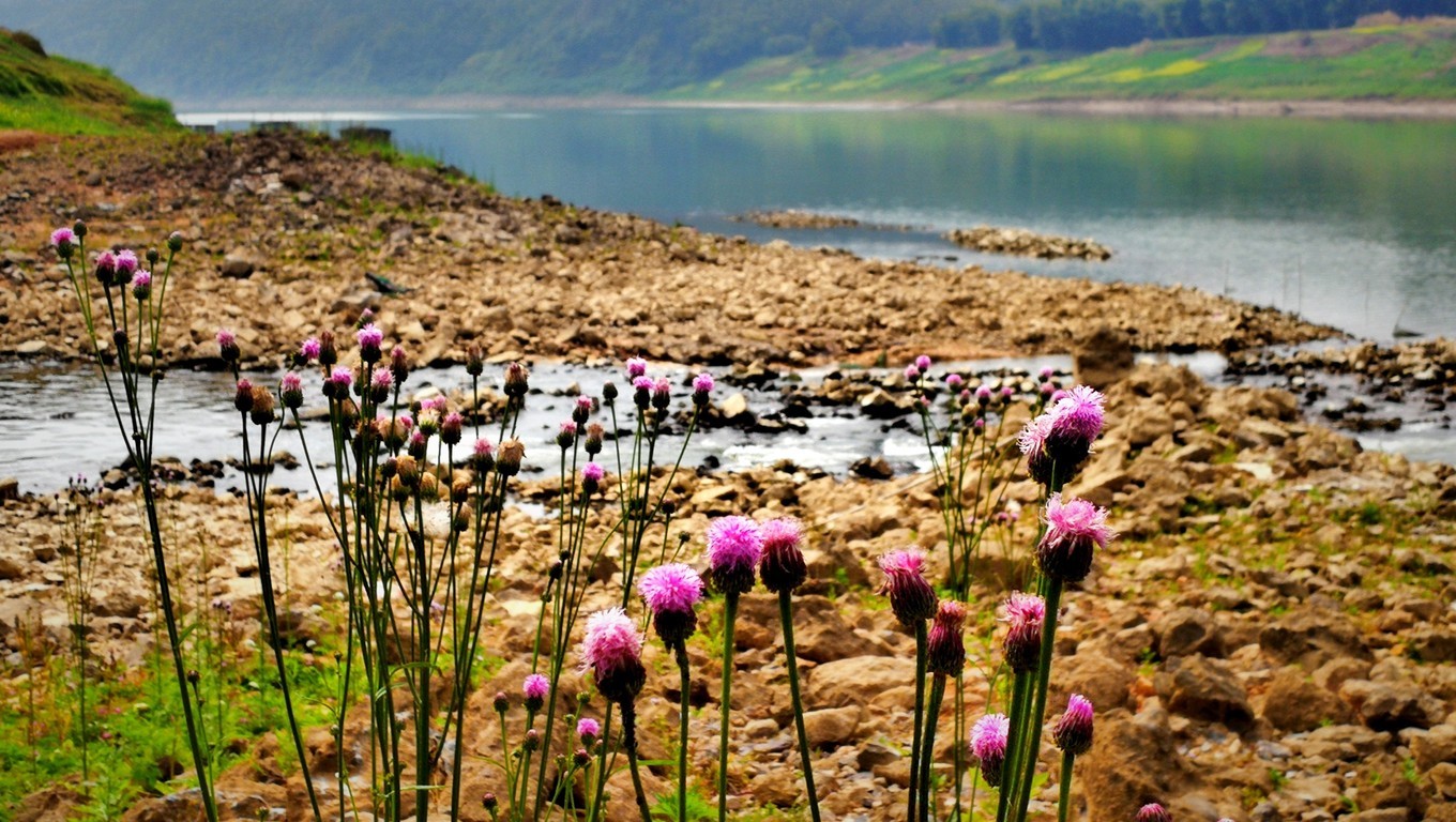 在广西,这个城市是岭南文化和粤语的发源地,又称小香港