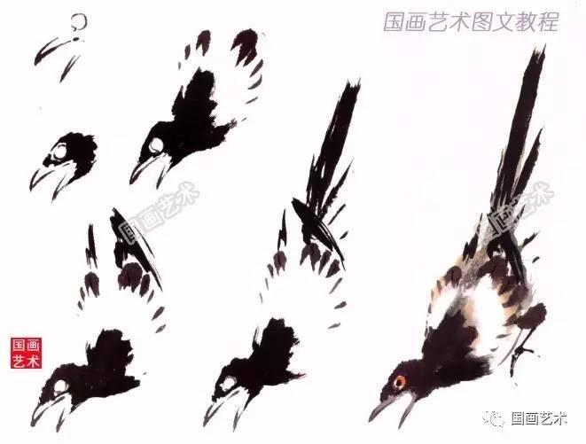 教程 | 写意禽鸟之喜鹊的画法解析 教程 | 写意禽鸟之喜鹊的画法解析
