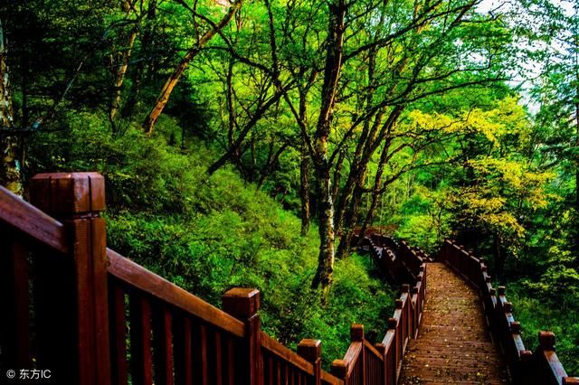 刘强东5分钟演讲:2019年会有一大批人暴富,在