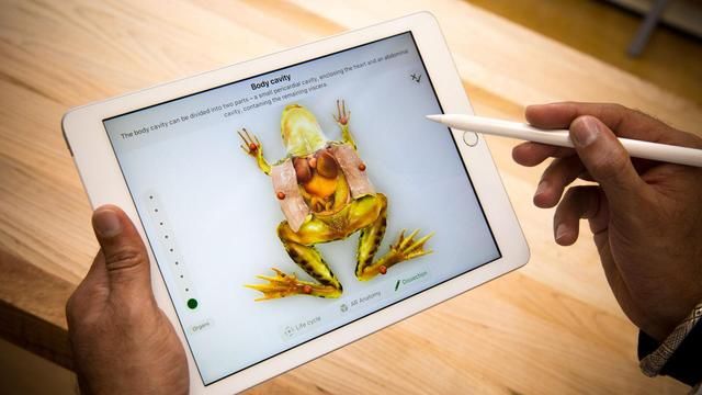 苹果公司发布最新的iPad平板电脑 您觉得哪一