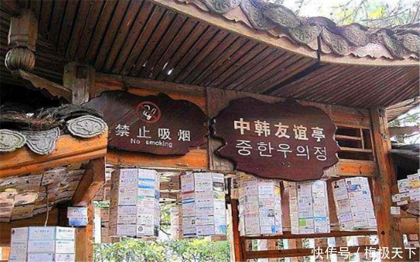 韩国人这是什么意思?中国游客去旅游,警示标语