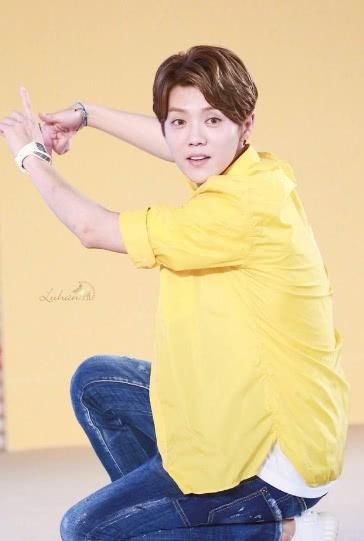 鹿晗现场玩魔方,小细节暴露了智商,网友:果然是