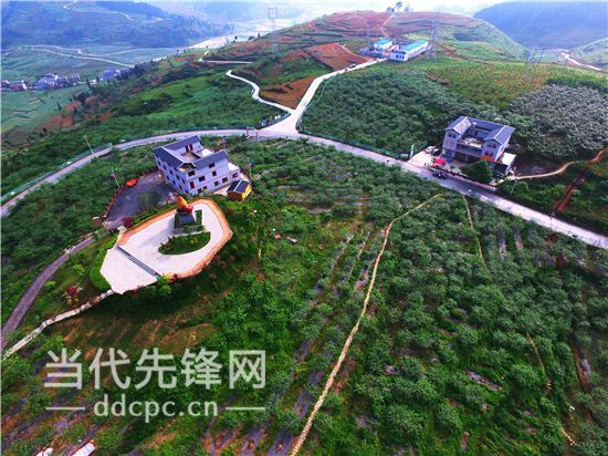 【治国理政新实践·贵州篇】农业供给侧改革的县域实践 【治国理政新实践·贵州篇】农业供给侧改革的县域实践