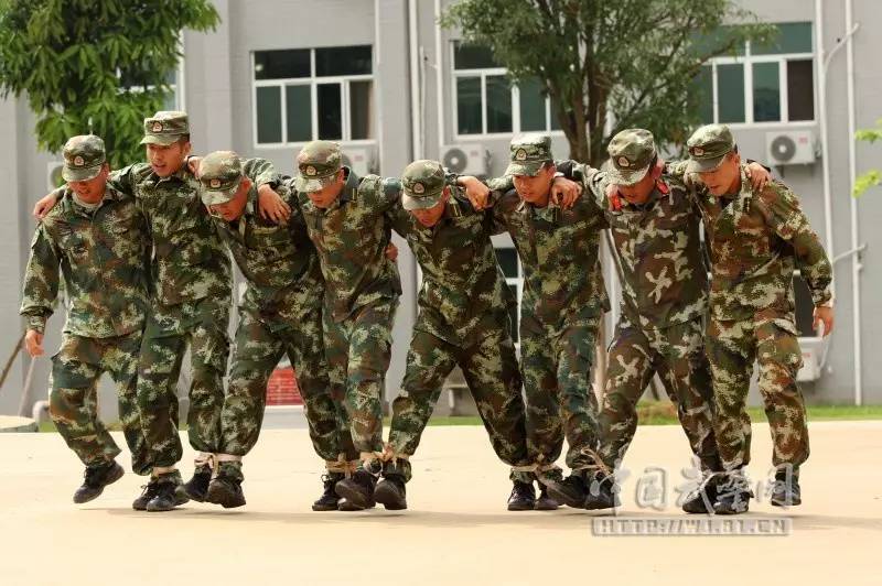 经考核合格后,"兵教头"们将成为2017年夏秋季新兵入伍训练的骨