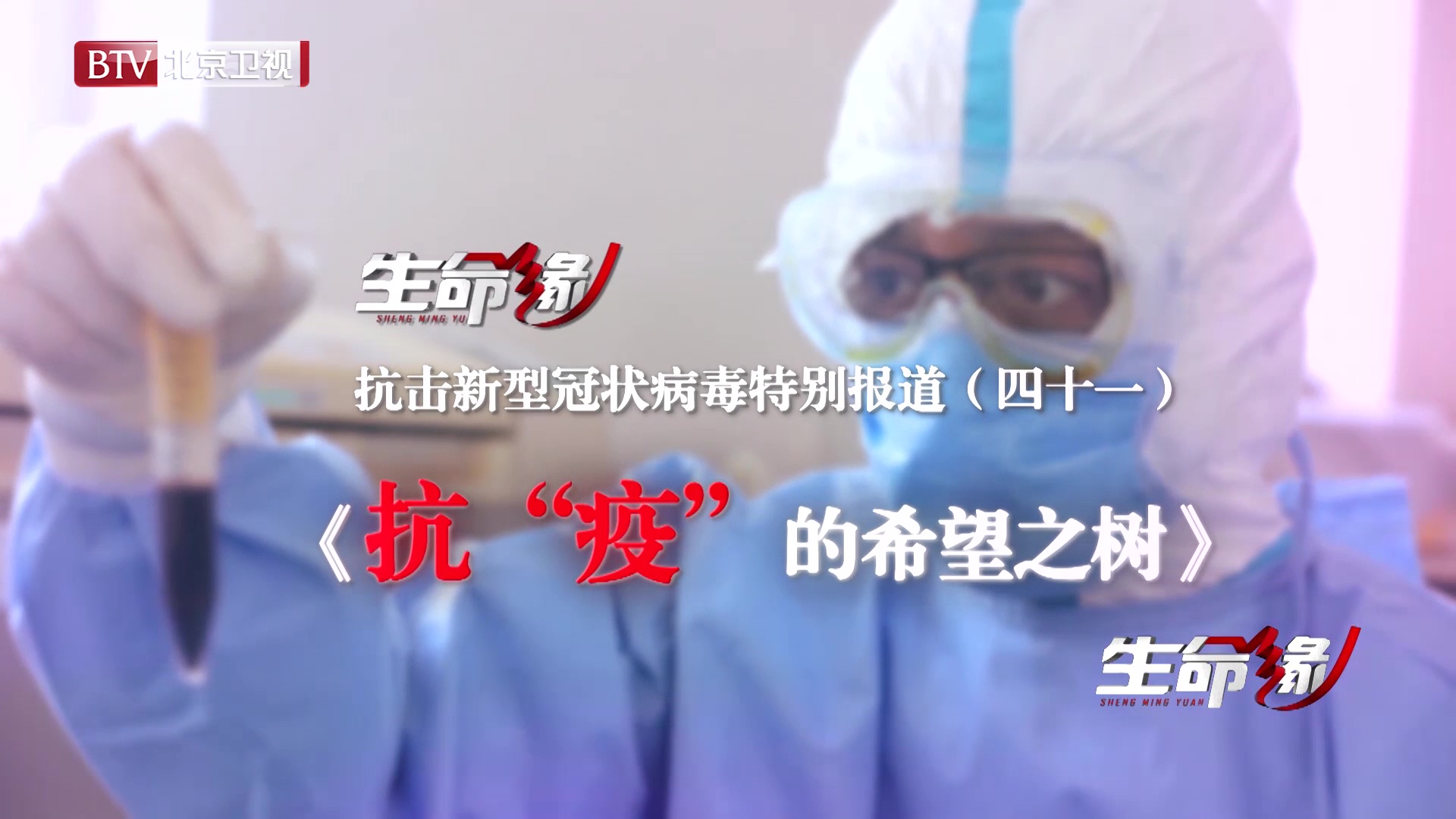 《生命缘》20200310特别报道(四十一)抗“疫”的希望之树 《生命缘》20200310特别报道(四十一)抗“疫”的希望之树