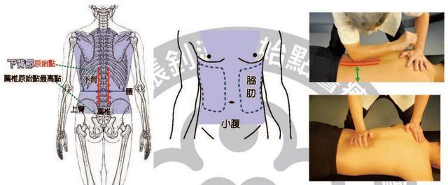 原始点一条脊椎外加七处原始点按摩位置及其涵