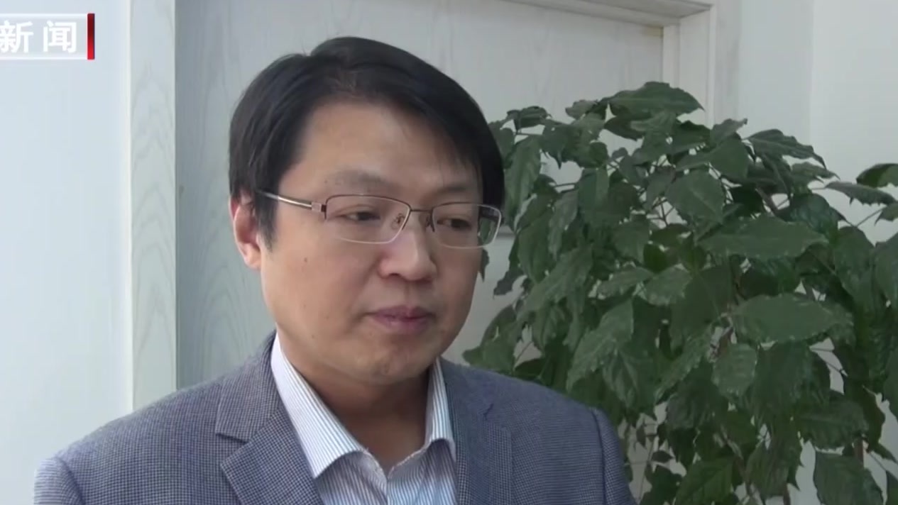 北京科技大学团队发现玉米不育新基因 玉米产量有望提高 北京科技大学团队发现玉米不育新基因 玉米产量有望提高