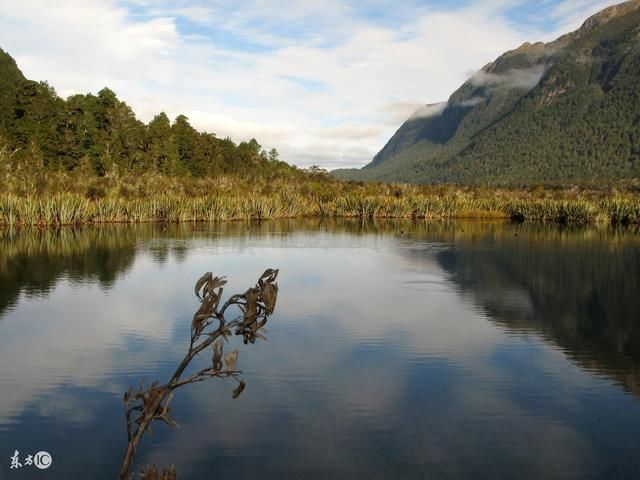 属狗人最命苦的出身月份,说进去能吓你一跳,