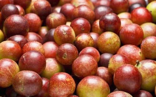 皮肤暗黄气色差,莫慌!晚上当零食吃几颗,皮肤红