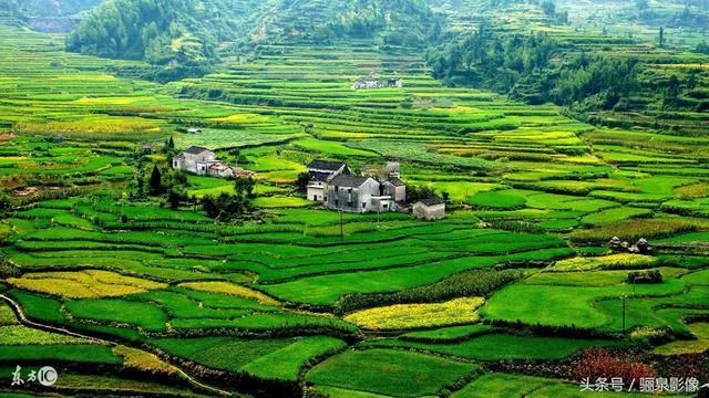 中国农业银行将如何做好服务好乡村振兴战略?