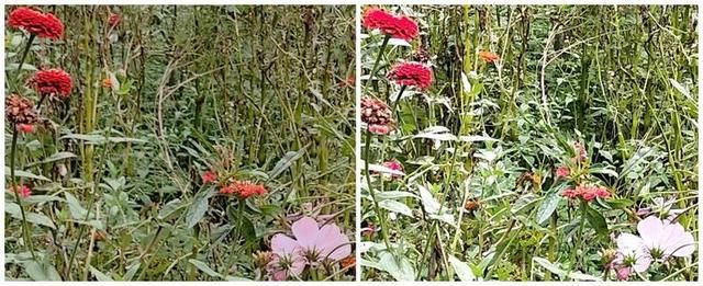 最全面的360手机N7Pro测评汇总:最牛的骁龙7