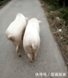 搞笑gif:二胎政策开放后,老大的日子过的一天不如一天了.