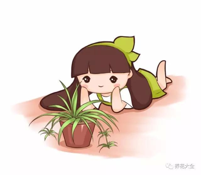 夏天扦插老不活，学会这几种方法，插啥活啥!