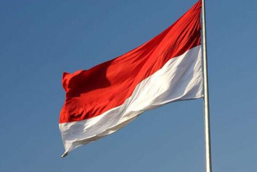 摩纳哥和印尼国旗图片