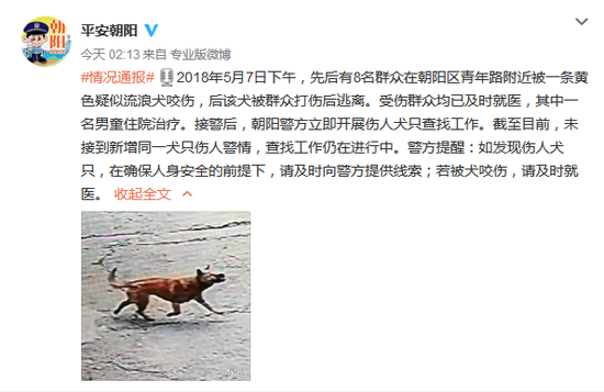 谁来管?多名儿童放学路上被流浪狗咬伤:见人就咬