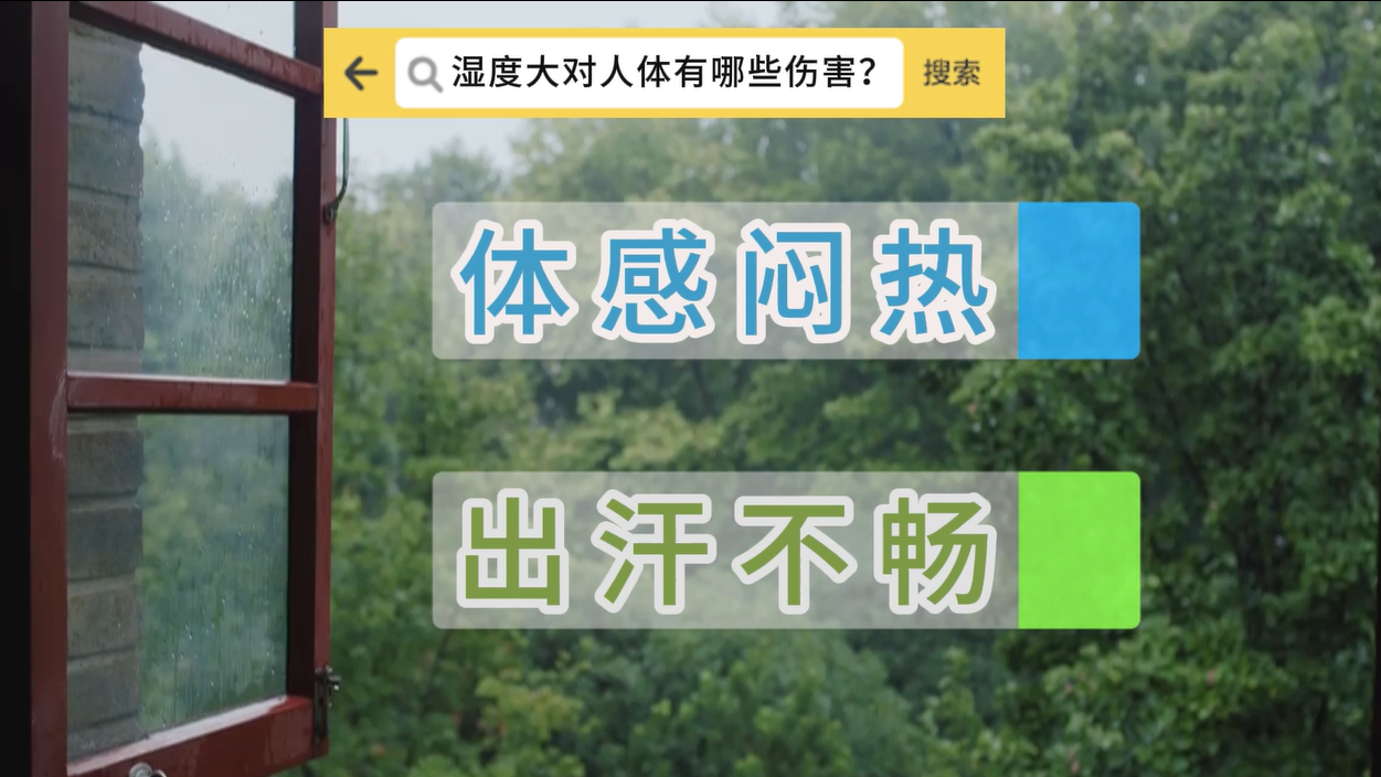 暴雨过后湿度大 中医提示要“三防”