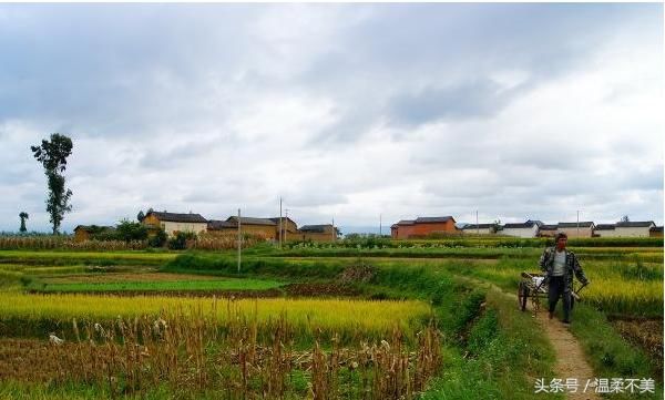 孙子5岁生日我进城庆祝,看到儿媳妇发的朋友圈