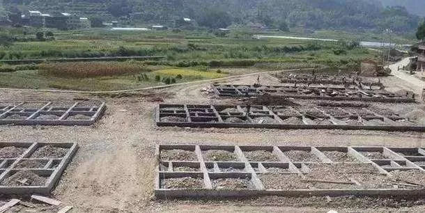 城镇户口子女是否能继承农村宅基地和房屋?继