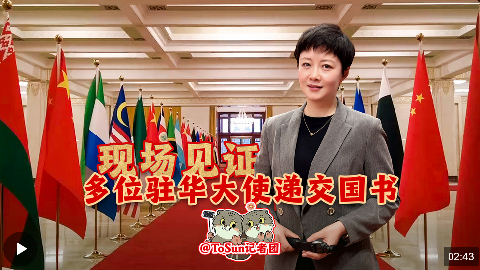 现场见证！多位驻华大使递交国书_北京时间