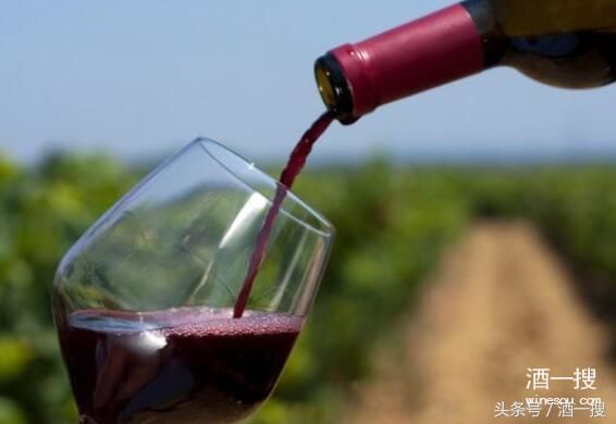 葡萄酒知识详解葡萄酒酒精度数