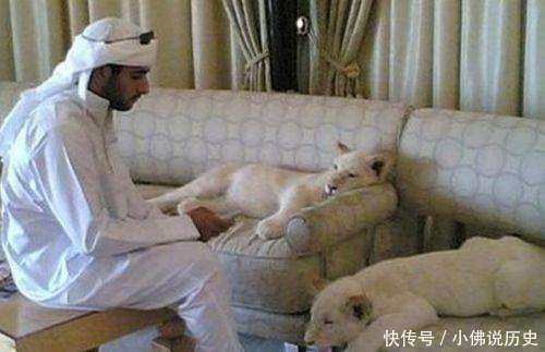 沙特阿拉伯与阿联酋都盛产富人, 可你知道他们