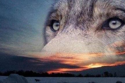 华为到底有多强大?美国绞尽脑汁地遏制其发展