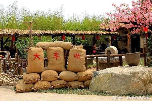 20年后的农村,将发生翻天覆地的变化!你做好准