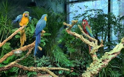 北五环居然之家引入室内动物园，新业态营业面积超30%